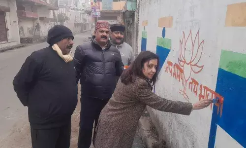 मीनाक्षी स्वरूप ने दिवारों पर लिखी भाजपा की जीत की इबारत