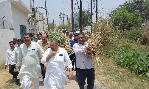 MUZAFFARNAGAR-राजू अहलावत ने बिजली दफ्तर में भर दिया सूखा गन्ना