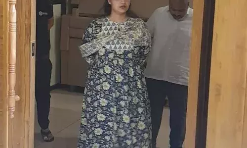 आनन्द हॉस्पिटल, होटल वेलविस्टा और दि एसडी पब्लिक स्कूल के बेसमेंट अवैध