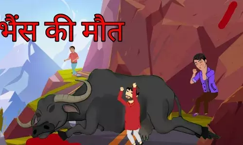 चोरी करने आये बदमाशों ने की फायरिंग, दहशत में भैंस की मौत