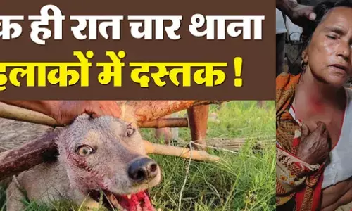 भेडिये ने महिला पर बोला हमला, क्षेत्र में दहशत