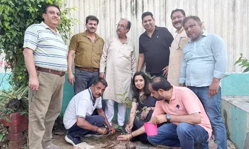 मां के नाम पेड़ हम सभी की सामाजिक जिम्मेदारी: मीनाक्षी स्वरूप